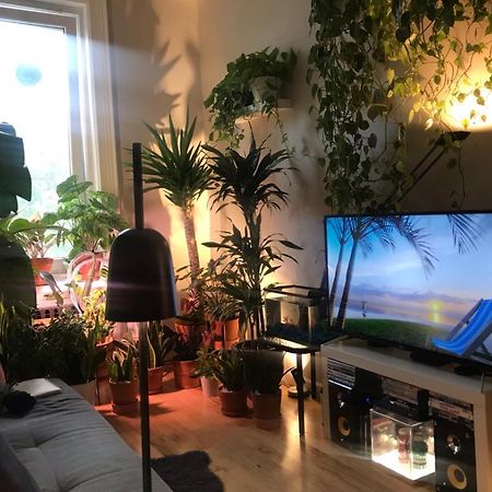 דירות ניו יורק Urban Jungle Oasis In Queens! מראה חיצוני תמונה