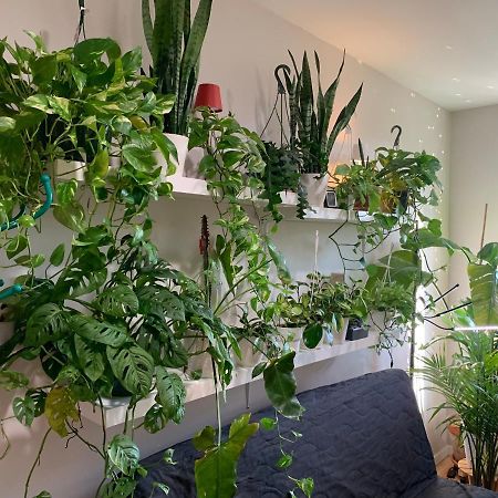 דירות ניו יורק Urban Jungle Oasis In Queens! מראה חיצוני תמונה