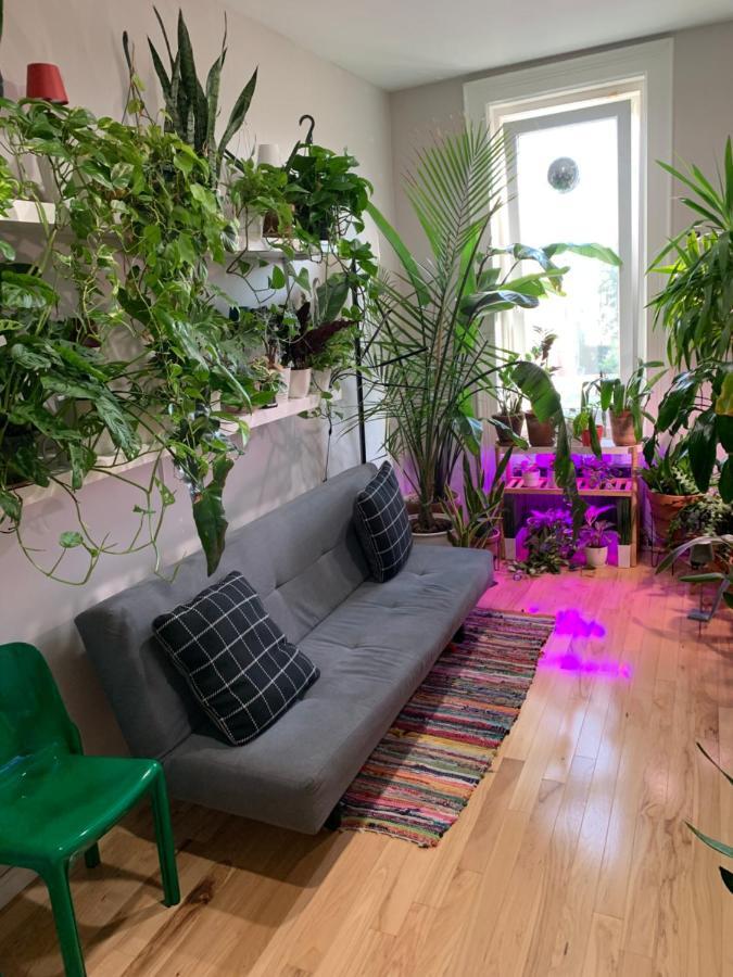 דירות ניו יורק Urban Jungle Oasis In Queens! מראה חיצוני תמונה