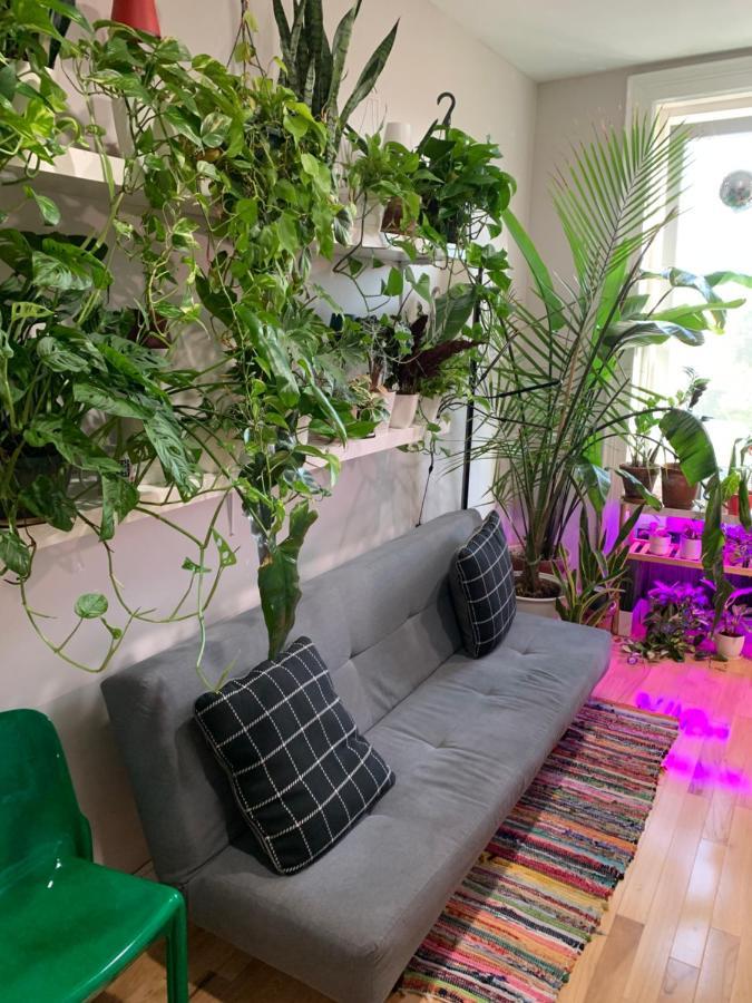 דירות ניו יורק Urban Jungle Oasis In Queens! מראה חיצוני תמונה