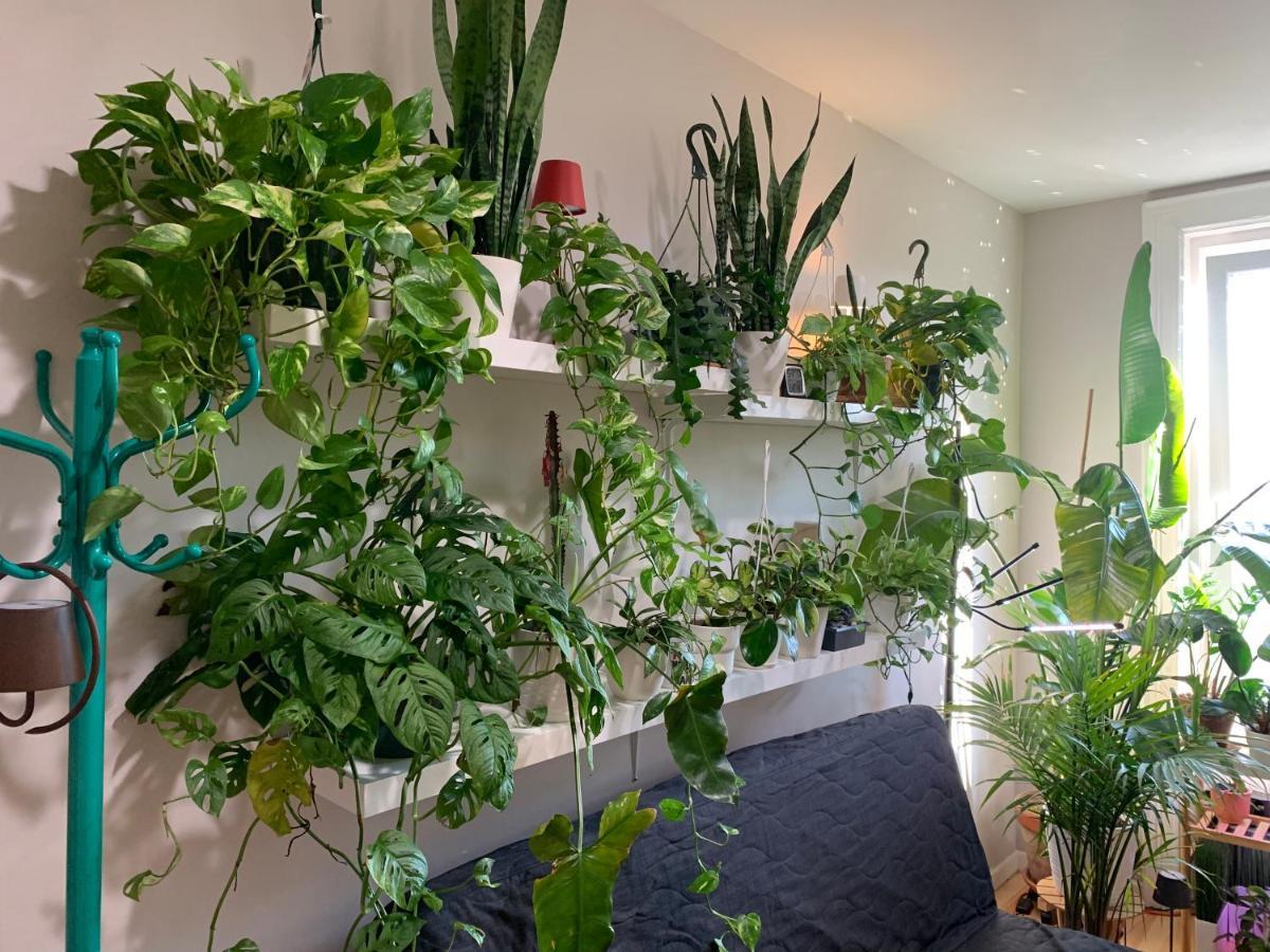 דירות ניו יורק Urban Jungle Oasis In Queens! מראה חיצוני תמונה