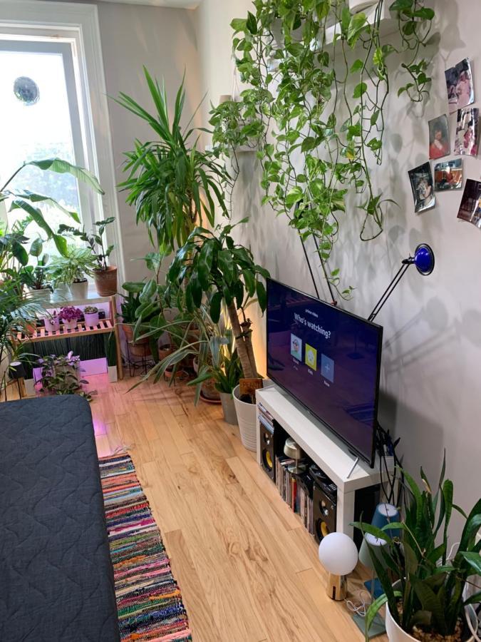 דירות ניו יורק Urban Jungle Oasis In Queens! מראה חיצוני תמונה